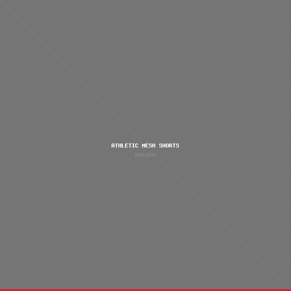 Athletic Mesh Shorts