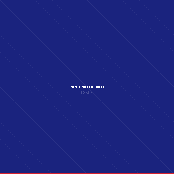 Denim Trucker Jacket