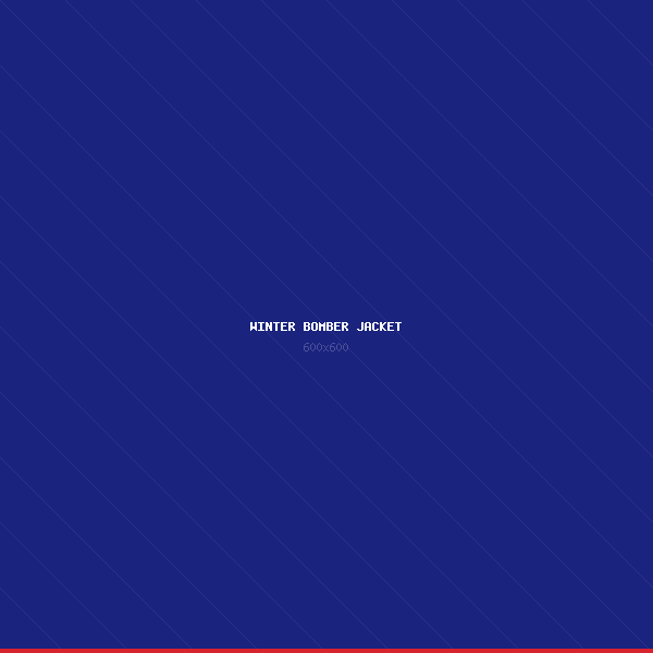 Winter Bomber Jacket